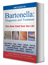 http://www.lymebook.com/bartonella-schaller