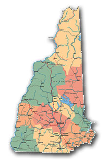 nh borrelia statistics