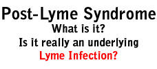 Post Lyme Syndrome
