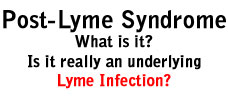Post Lyme Syndrome